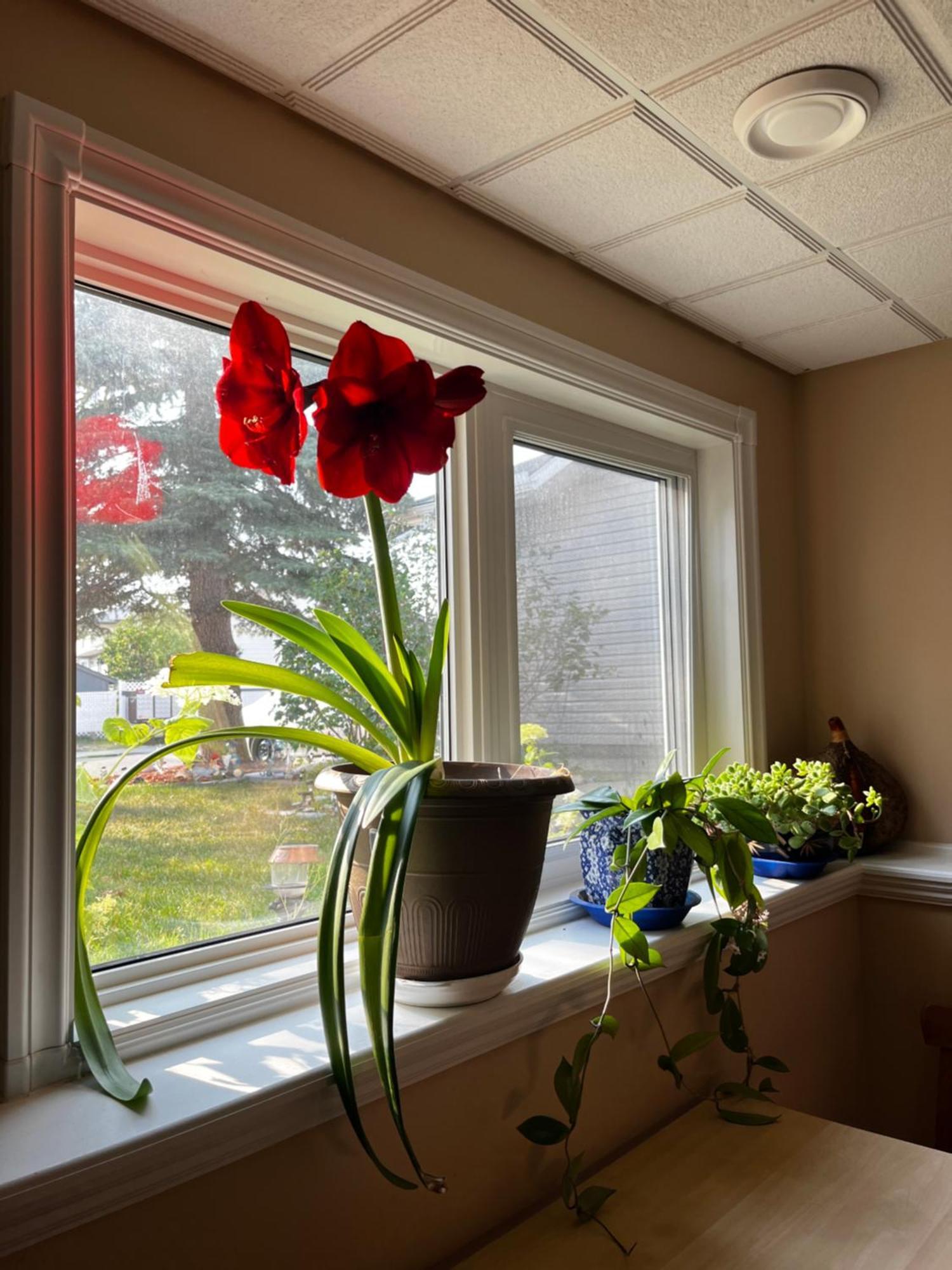 Citadel Hills Valley YYC Dış mekan fotoğraf